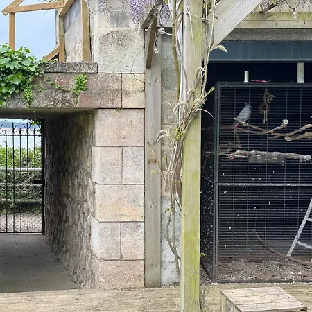 Tousvents Διαμέρισμα Saint-Georges-de-Didonne